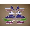 Kawasaki ZX-9R YEAR 1994 GREEN WHITE PURPLE