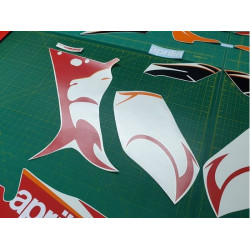 ADHESIVOS Aprilia RS50-RS125 YEAR 2005