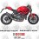 Ducati Monster 1100 Evo YEAR 2011 - 2013 STICKERS (Compatible Product)