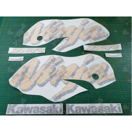 Kawasaki ZX-7R YEAR 1998 DECALS
