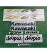 Kawasaki ZX-6RR 636 YEAR 2003-2004 DECALS