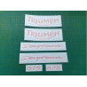 TRIUMPH Daytona 675 YEAR 2005-2006 AUTOCOLLANT