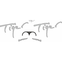 TRIUMPH Tiger 900 YEAR 1993-1998 ADHESIVOS