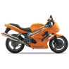 TRIUMPH TT 600 YEAR 2000-2003 ADESIVOS