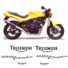 TRIUMPH Speed Triple YEAR 1994-1996 ADHESIVOS