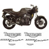 TRIUMPH Speed Triple YEAR 1994-1996 AUTOCOLLANT