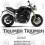TRIUMPH Speed Triple 1050 YEAR 2005-2010 AUTOCOLLANT (Produit compatible)