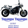 TRIUMPH Speed Triple 1050 YEAR 2005-2010 DECALS