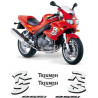 TRIUMPH Sprint RS 955 YEAR 2000-2003 ADESIVOS