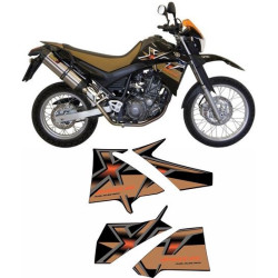 Yamaha XT 660R YEAR 2009 ADHESIVOS