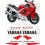YAMAHA YZF Thundercat 600R YEAR 1996-1997 DECALS (Compatible Product)