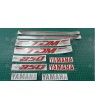 Yamaha TDM 850 YEAR 1991-1995 DECALS
