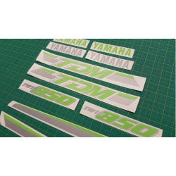 Yamaha TDM 850 YEAR 1991-1995 AUTOCOLLANT