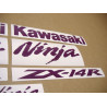 Kawasaki ZX-14R CUSTOM PURPLE ADESIVOS