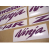 Kawasaki ZX-14R CUSTOM PURPLE ADESIVOS