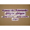 Kawasaki ZX-14R CUSTOM PURPLE ADESIVOS