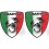 Abarth gel Badges Stickers decals 60mm x2 (Compatible Product)
