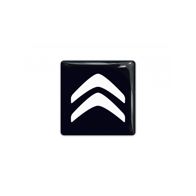 Citroen GEL Adhesivos