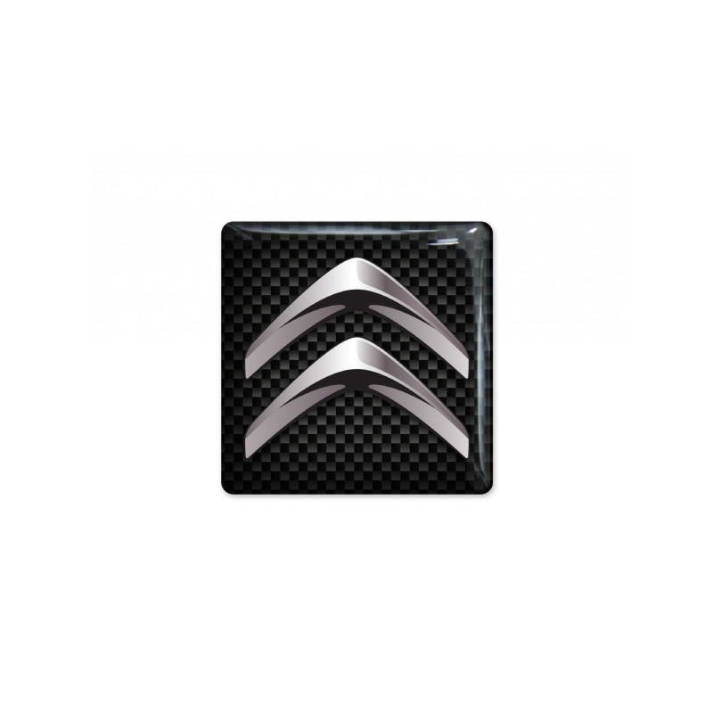 Citroen GEL Adhesivos