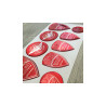 DUCATI GEL Adhesivos x9