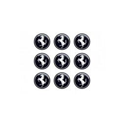 FERRARI GEL Adhesivos x9