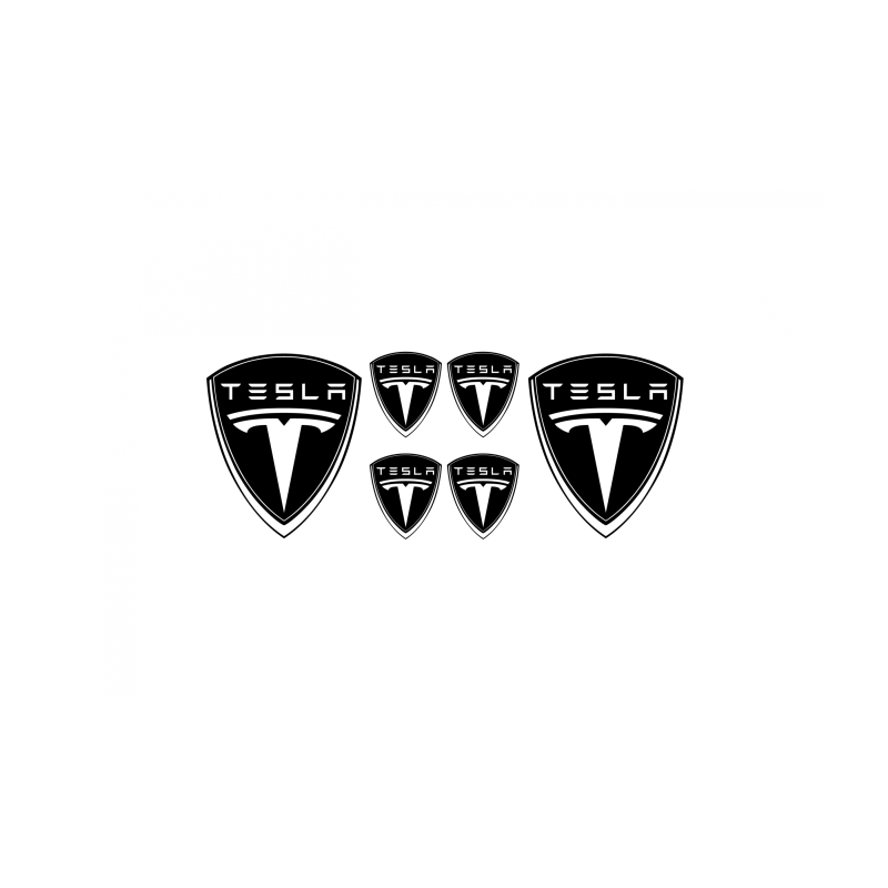 TESLA domed emblem gel DECALS x6