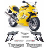 TRIUMPH TRIUMPH TT 600 YEAR 2003 ADESIVOS