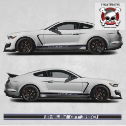 Ford Mustang shelby GT 350 year 2015 Stripes STICKER