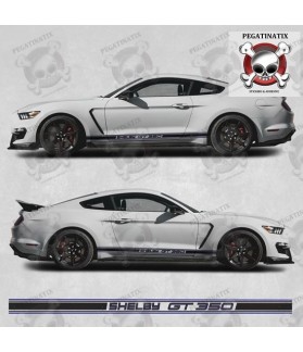 Ford Mustang shelby GT 350 year 2015 stripes STICKER