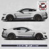 Ford Mustang shelby GT 350 year 2015 Stripes ADESIVI