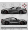 Ford Mustang shelby GT 500 year 2015 Stripes ADESIVI