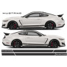 Ford Mustang shelby GT-S 550 year 2015 Stripes AUTOCOLLANT
