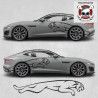 Jaguar F-Type side stripes ADESIVI