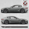 Jaguar F-Type side stripes AUFKLEBER