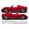 Lotus Elise side Stripes ADESIVI