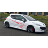 Peugeot 207 side lion Graphics Stripes adesivi