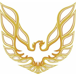 Pontiac Trans AM 1970's style 34" Bonnet Autocollant