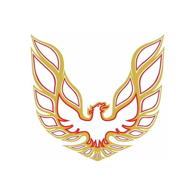 Pontiac Trans AM 1970's style 34" Bonnet adesivos