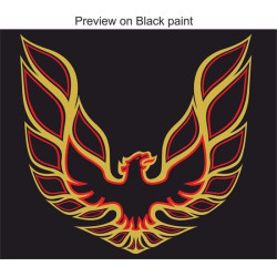 Pontiac Trans AM 1970's style 34" Bonnet adesivos