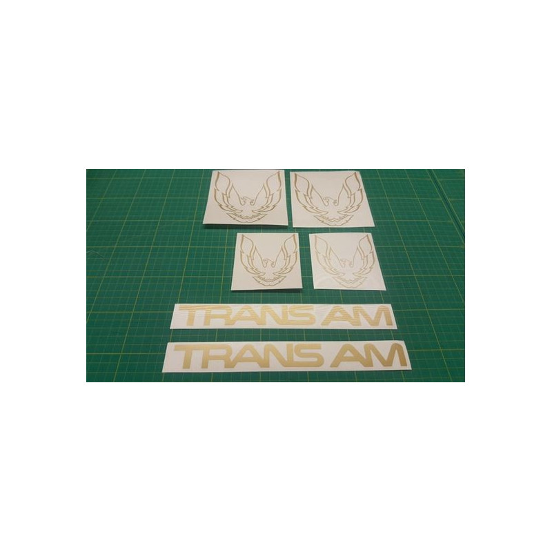 Pontiac AM Firebird decals