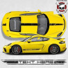PORSCHE 781 Cayman GT4 over the top & side Stripes ADHESIVOS