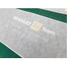 Renault Clio R27 R.S. F1 Team Stripes ADESIVOS