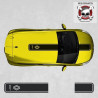 Renault Clio Mk4 ADHESIVOS