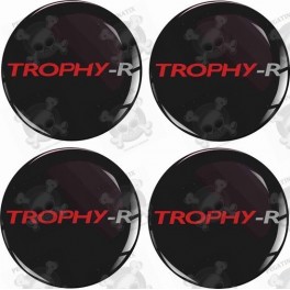 RENAULT Trophy Wheel centre Gel Badges Adesivi x4