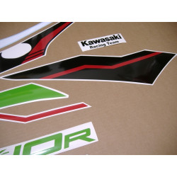 DECALS KIT KAWASAKI ZX-10R YEAR 2021(Compatible Product)