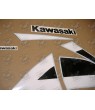 Kawasaki ZX-7R YEAR 2001 AUTOCOLLANT (Produit compatible)