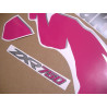 Kawasaki ZX-7R YEAR 1993 ADESIVOS (Produto compatível)