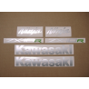 ADESIVI KIT KAWASAKI ZX-10R YEAR 2021 (Prodotto compatibile)