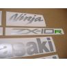 ADESIVI KIT KAWASAKI ZX-10R YEAR 2021 (Prodotto compatibile)