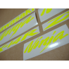 Kawasaki ZX-14R CUSTOM NEON YELLOW ADESIVI (Prodotto compatibile)